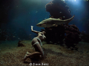 No fear...beautiful girl !!! by Dave Benz 